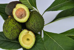 aguacates valencianos online - naturales-