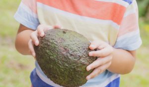 comprar aguacates valencianos online - niño con aguacate