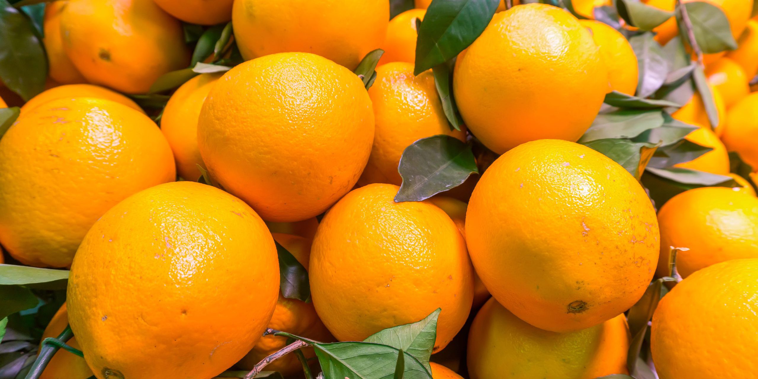 comprar naranjas valencianas online - organicas