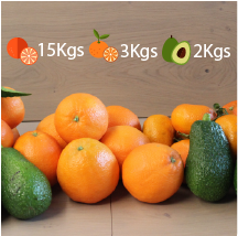 Cajas preparadas- 20kgs 1531 h