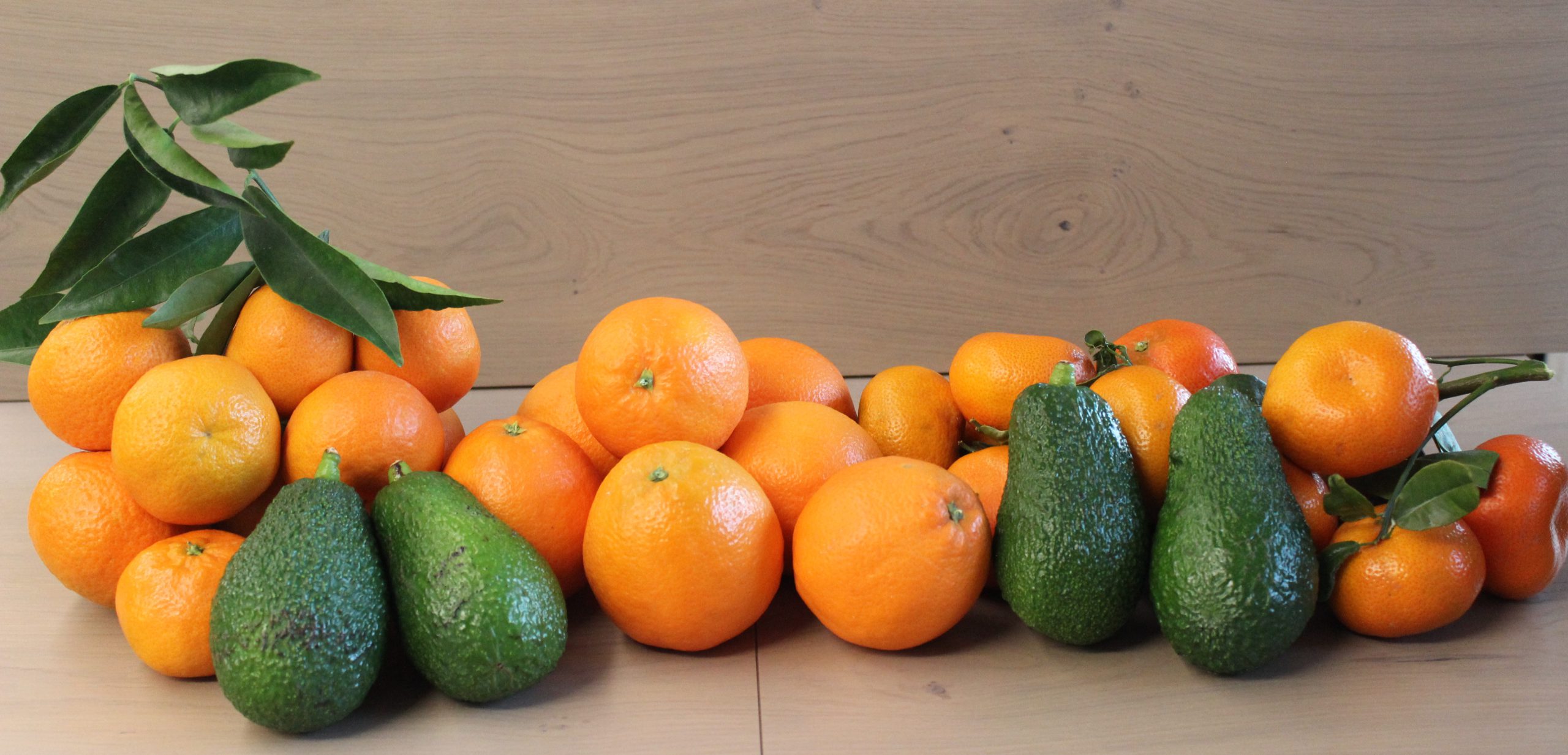 Tienda online de naranjas valencianas -Cajas preparadas